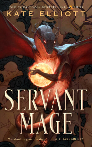 Book cover for Servant Mage