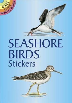 Book cover for Seashore Bords Stickers