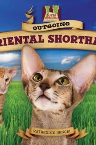 Cover of Outgoing Oriental Shorthairs