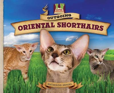Cover of Outgoing Oriental Shorthairs