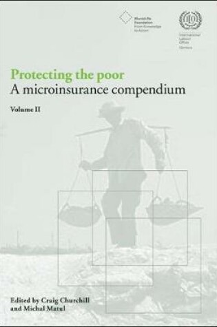 Cover of Protecting the poor
