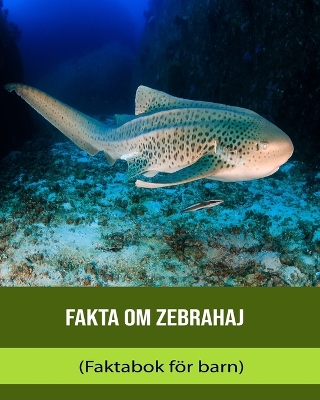 Book cover for Fakta om Zebrahaj (Faktabok för barn)