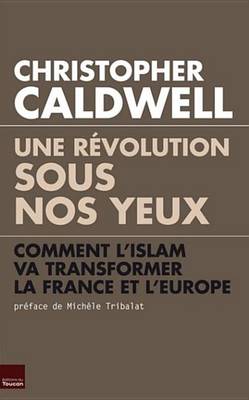 Book cover for Une Revolution Sous Nos Yeux