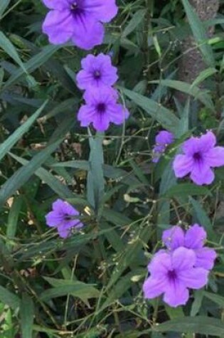 Cover of Ruellia (for the Love of Flowers)