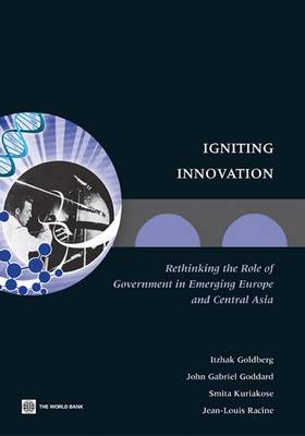 Book cover for Igniting Innovation