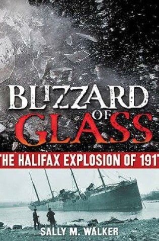 Cover of Blizzard of Glass