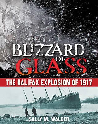 Book cover for Blizzard of Glass