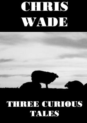 Book cover for Three Curious Tales