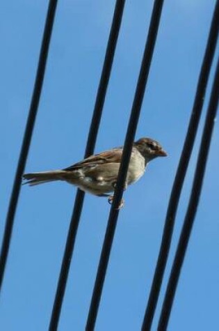 Cover of Sparrow on a Wire Bird Journal