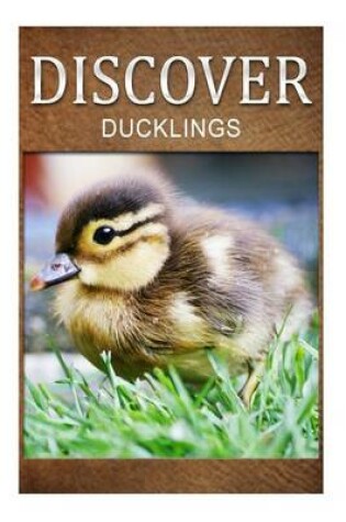 Cover of Ducklings - Discover