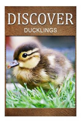 Book cover for Ducklings - Discover