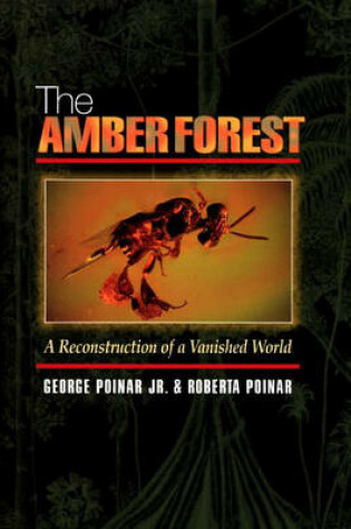 Cover of The Amber Forest