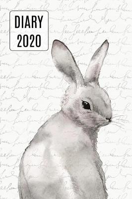 Book cover for 2020 Daily Diary Planner, Watercolor Rabbit