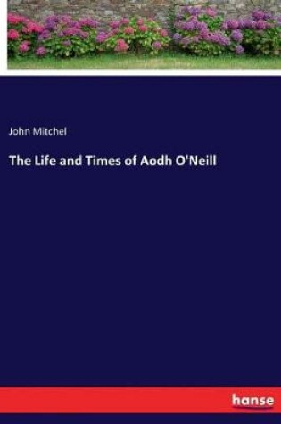 Cover of The Life and Times of Aodh O'Neill