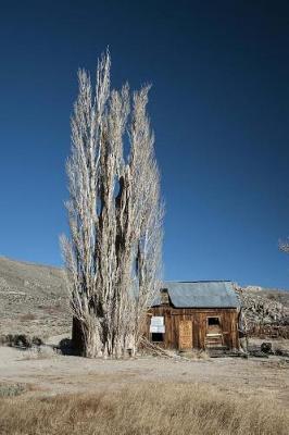 Book cover for Abandoned Cabin in the California Desert Journal