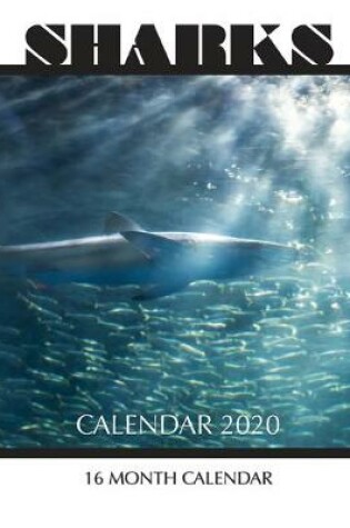 Cover of Sharks Calendar 2020