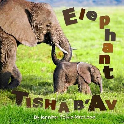 Book cover for Elephant Tisha b'Av