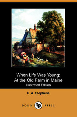 Cover of When Life Was Young