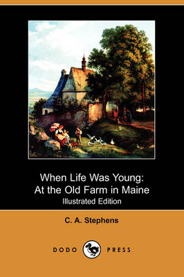 Book cover for When Life Was Young