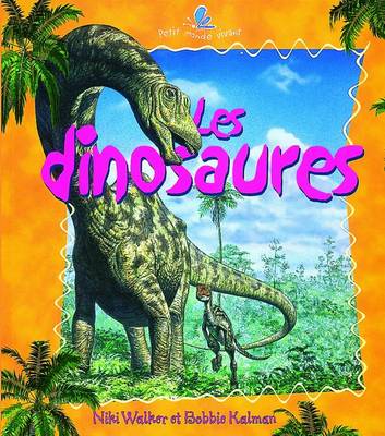 Book cover for Les Dinosaurs