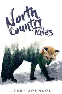 Book cover for North Country Tales