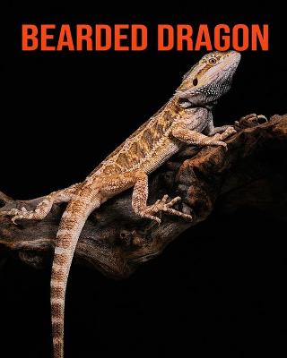 Book cover for Bearded Dragon