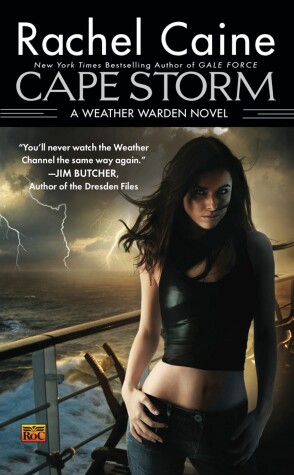 Book cover for Cape Storm