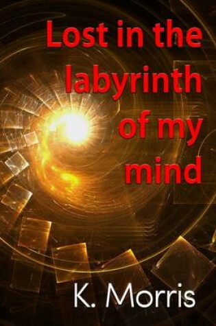 Cover of Lost in the Labyrinth of My Mind