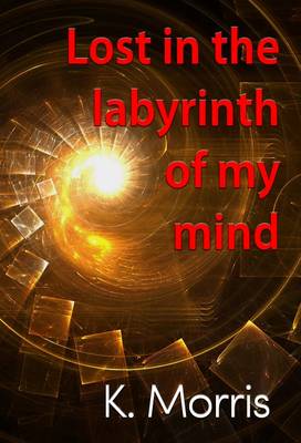 Book cover for Lost in the Labyrinth of My Mind