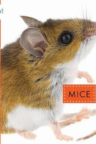 Cover of Mice