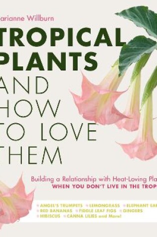 Tropical Plants and How to Love Them