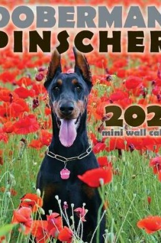 Cover of Doberman Pinscher 2020 Mini Wall Calendar