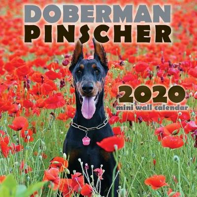 Cover of Doberman Pinscher 2020 Mini Wall Calendar