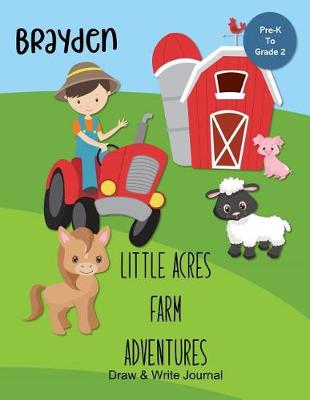 Book cover for Brayden Little Acres Farm Adventures