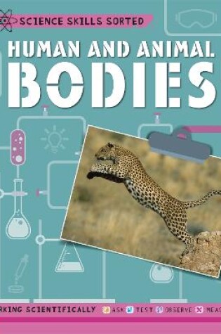 Cover of Science Skills Sorted!: Human and Animal Bodies