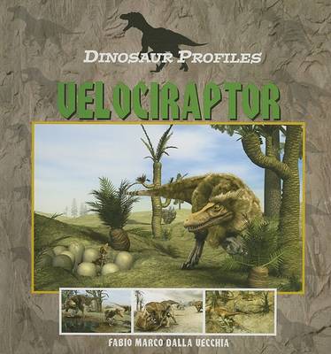 Book cover for Velociraptor