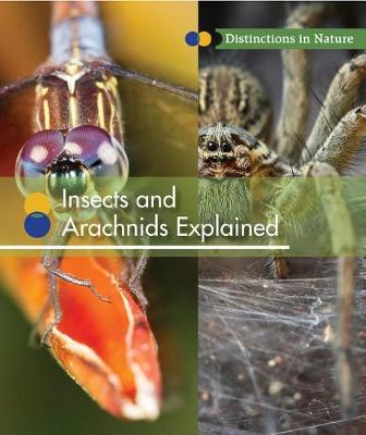 Book cover for Insects and Arachnids Explained