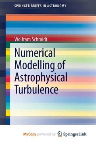 Cover of Numerical Modelling of Astrophysical Turbulence