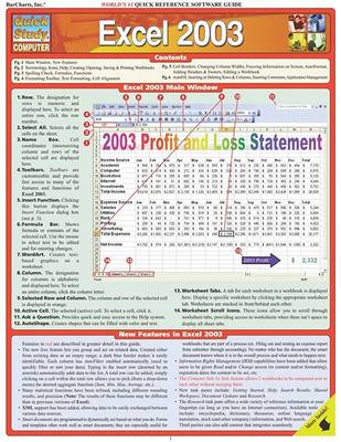 Book cover for Excel 2003
