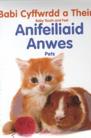 Cover of Babi Cyffwrdd a Theimlo: Anifeiliaid Anwes / Pets