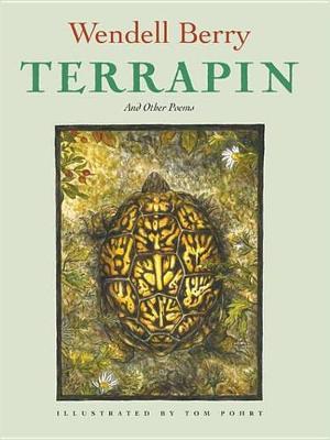 Book cover for Terrapin