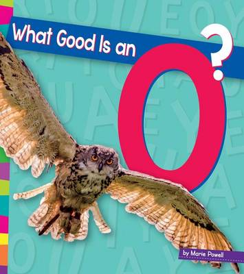Book cover for What Good Is an O?