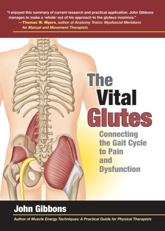 Cover of The Vital Glutes