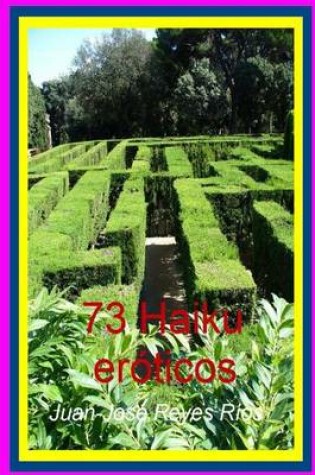 Cover of 73 Haiku eróticos