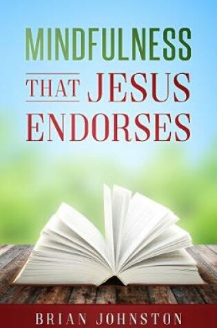 Cover of Mindfulness That Jesus Endorses