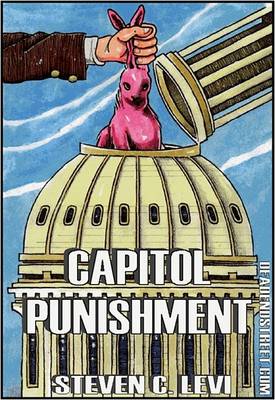 Book cover for Capitol Punishment