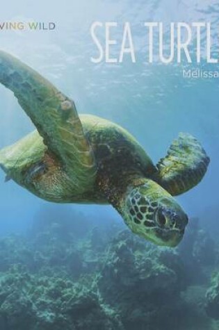 Cover of Sea Turtles