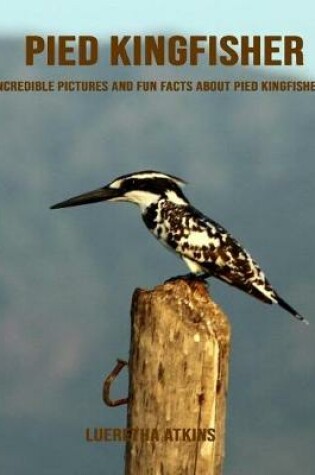 Cover of Pied Kingfisher