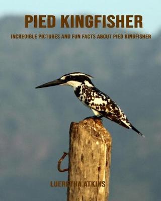 Book cover for Pied Kingfisher