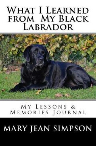 Cover of What I Learned from My Black Labrador